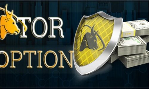 Бинарные опционы у брокера Tor Option